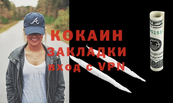 прущие грибы Верея