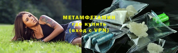 прущие грибы Верея