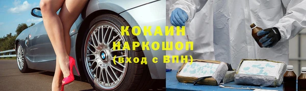 прущие грибы Верея