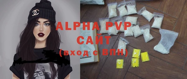 прущие грибы Верея