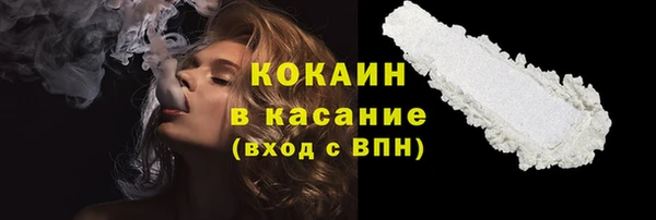 прущие грибы Верея