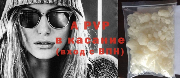 прущие грибы Верея