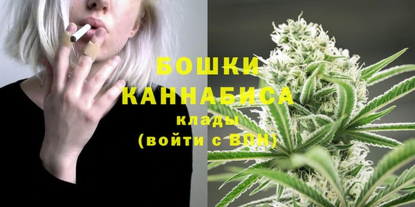 прущие грибы Верея
