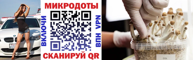 Псилоцибиновые грибы мицелий  купить закладку  blacksprut tor  Ногинск 